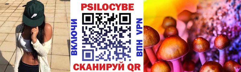 даркнет клад  Новокузнецк  Галлюциногенные грибы прущие грибы  mega зеркало 